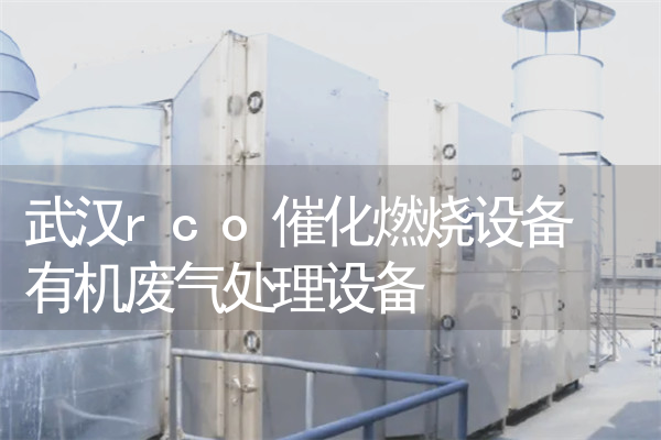 武汉rco催化燃烧设备 有机废气处理设备